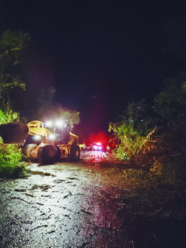 Temporal provoca queda de árvores e destelha casas em distrito de Bebedouro