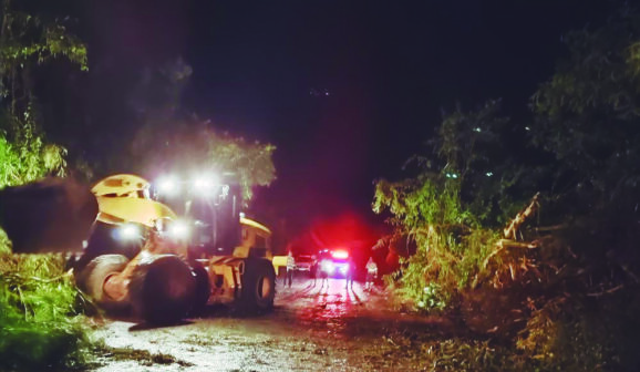 Temporal provoca queda de árvores e destelha casas em distrito de Bebedouro
