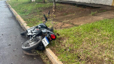 Homem é preso por maus-tratos contra animal em Guaíra (Foto: O Diário de Barretos)