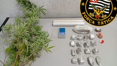 Polícia Militar detém vendedor com mais de meio quilo de drogas (Foto: O Diário de Barretos)