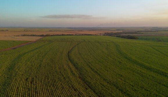 Tereos confirmou investimento em iniciativas de agricultura regenerativa