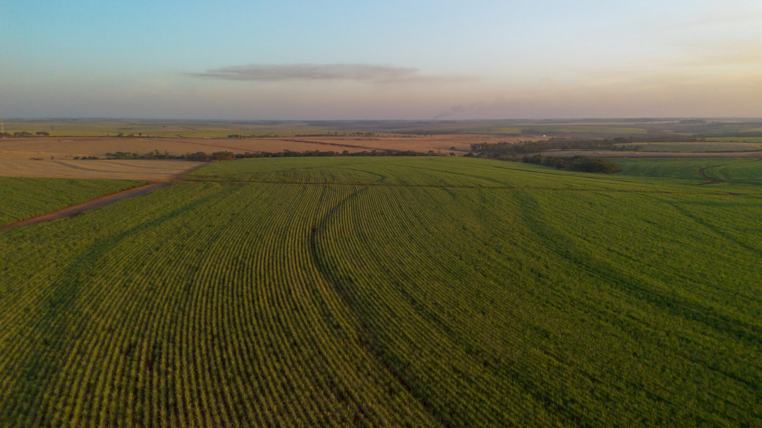 Tereos é reconhecida por práticas de agricultura regenerativa