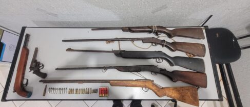 Polícia Militar encontra armas e munições em residência (Foto: O Diário de Barretos)