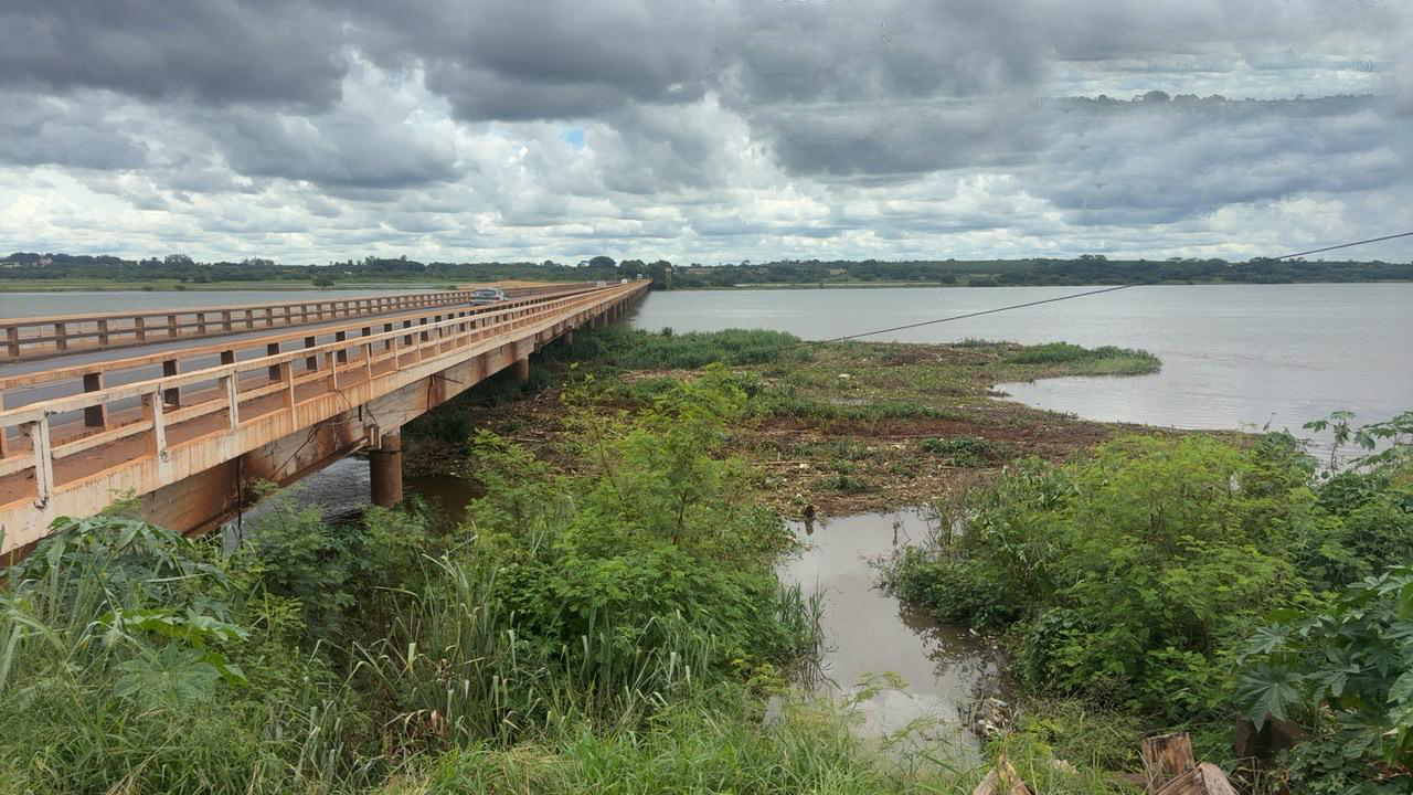Excesso de vegetação no Rio Grande acende alerta na ponte de Colômbia