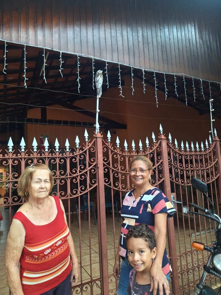 Uma família de Barretos, moradora da Praça Monte Castelo, nº 55, em frente ao Cemitério Municipal de Barretos, recebeu uma visita inusitada no início da tarde desta terça-feira (3): um pássaro urutau.