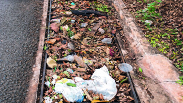 Descarte irregular de lixo gera 12 atendimentos em janeiro