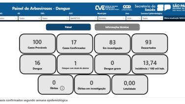 Estado registra 5,8 mil casos de dengue e acende alerta (Foto: O Diário de Barretos)