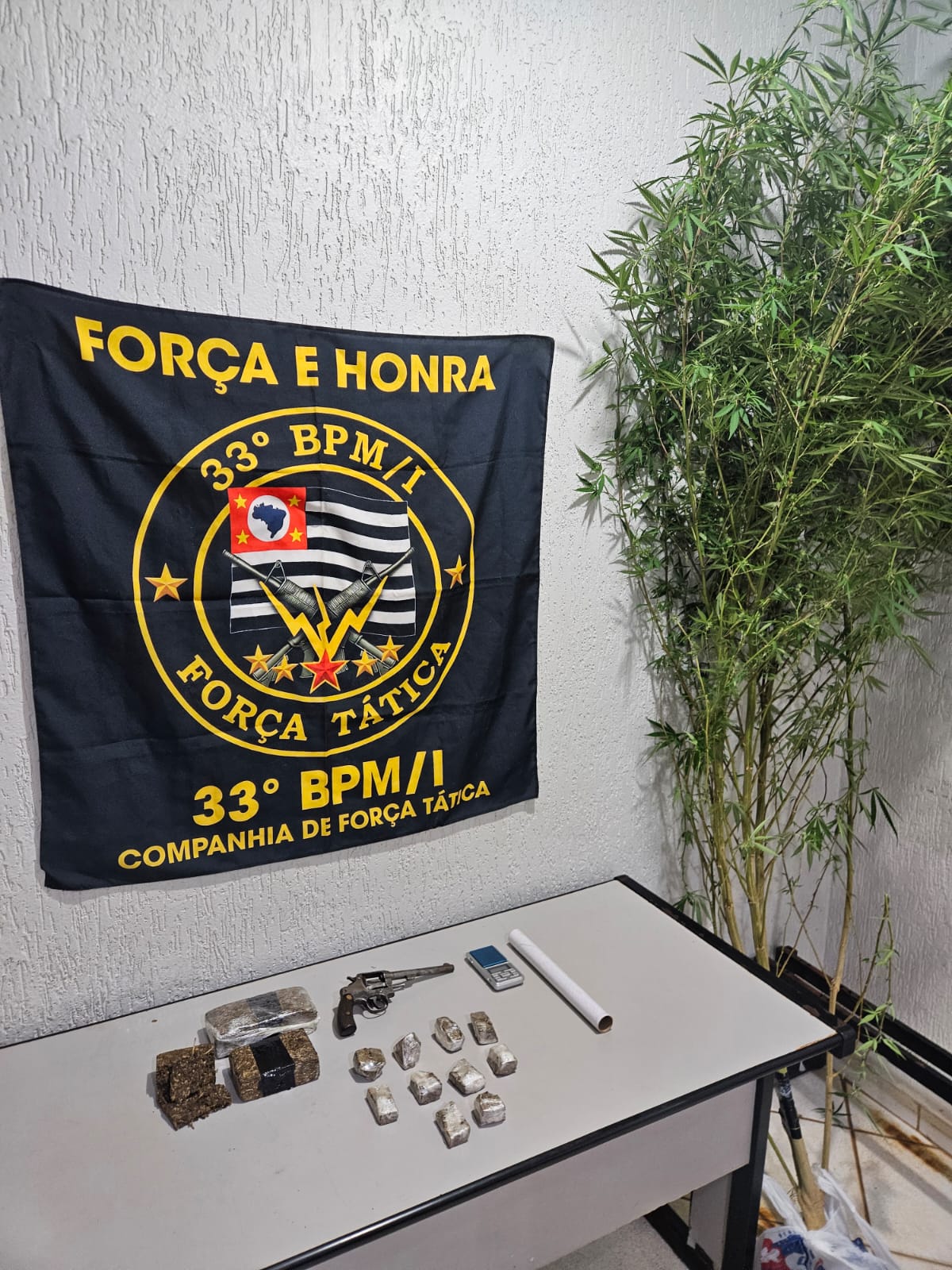 Polícia Militar aborda infratores e apreende arma de fogo e maconha