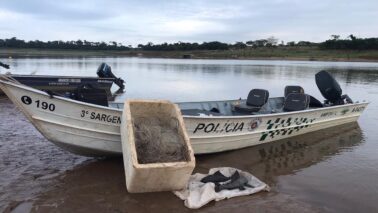 Fim da Piracema libera pesca a partir de 1º de março na região (foto: O Diário de Barretos)