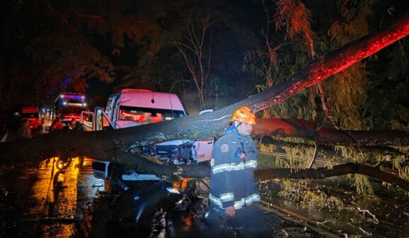 Queda de árvore provoca acidente com Van na Assis Chateaubriand (Foto: O Diário de Barretos)