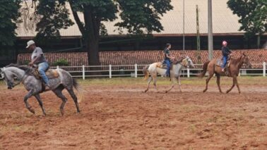 O projeto do Centro de Formação Esportiva Equestre Barretos funciona no Recinto Paulo de Lima Corrêa, com aulas realizadas três vezes por semana.