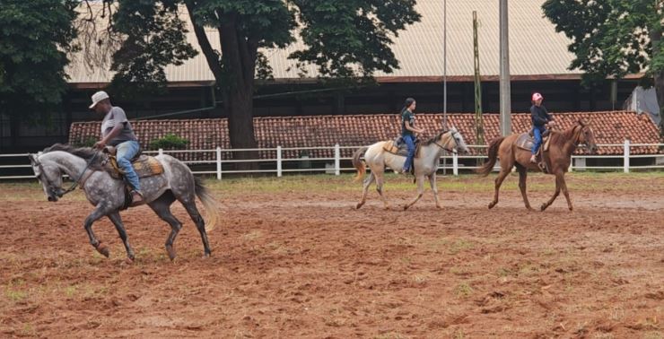 Projeto Equestre realizado no Recinto tem lista de espera de alunos