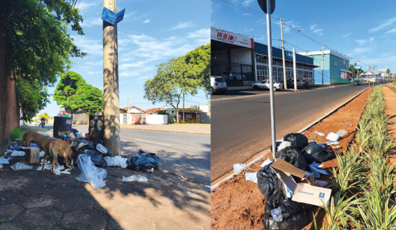 Descarte irregular de lixo preocupa em dois pontos da cidade