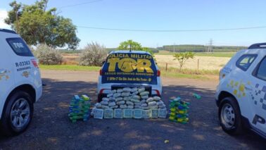 Polícia Rodoviária detém casal e apreende mais de 90kg de drogas (Foto: O Diário de Barretos) Polícia Rodoviária detém casal e apreende mais de 90kg de drogas (Foto: O Diário de Barretos)