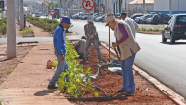 Os trabalhos de paisagismo e arborização na Avenida Engenheiro Necker Carvalho de Camargo estão sendo executados na nova via de acesso à cidade.