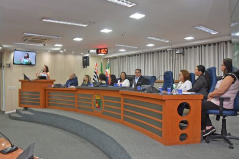 Audiência pública mobiliza e fortalece rede de proteção à mulher