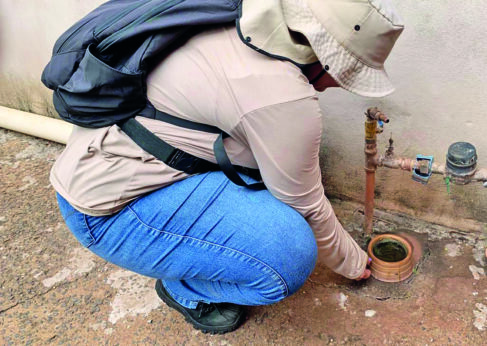 Saúde confirma primeiro caso de chikungunya e dengue segue em alta