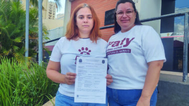 ONG alerta para omissão e reforça cautela na guarda de animais
