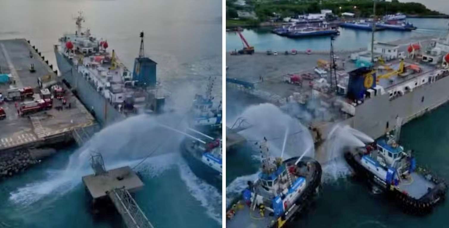 Gado resgatado de navio em São Sebastião volta para Barretos
