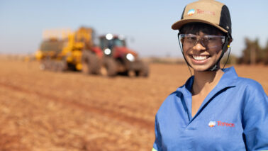 Tereos atingiu 68,19% de cana certificada na safra (Foto: Divulgação) Tereos atingiu 68,19% de cana certificada na safra (Foto: Divulgação)