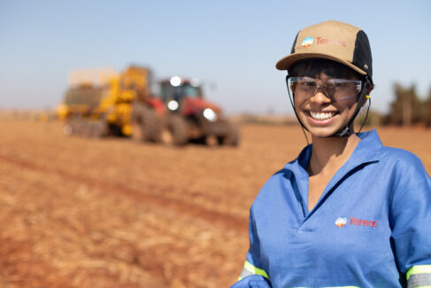 Tereos atingiu 68,19% de cana certificada na safra (Foto: Divulgação)