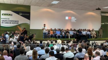 A Agrishow 2026 foi aberta em Ribeirão Preto nesta segunda (27), com a presença do governador de São Paulo, Tarcísio de Freitas, que participou da abertura ao lado da primeira-dama, Cristiane Freitas, e de uma comitiva de deputados.