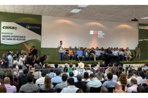 A Agrishow 2026 foi aberta em Ribeirão Preto nesta segunda (27), com a presença do governador de São Paulo, Tarcísio de Freitas, que participou da abertura ao lado da primeira-dama, Cristiane Freitas, e de uma comitiva de deputados.