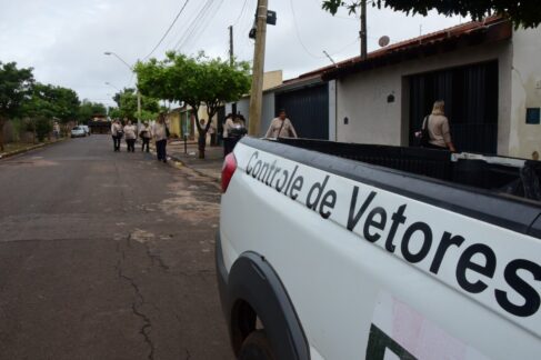 Março concentra maior número de notificações de dengue 