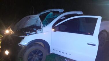 Animal solto na pista provoca acidente com morte em rodovia (Foto: O Diário de Barretos)