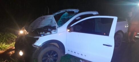 Animal solto na pista provoca acidente com morte em rodovia (Foto: O Diário de Barretos)