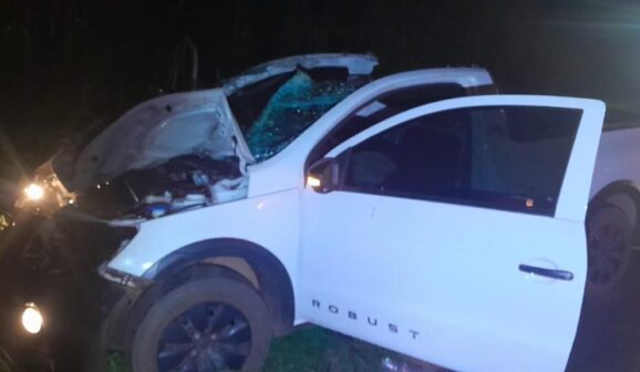 Animal solto na pista provoca acidente com morte em rodovia (Foto: O Diário de Barretos)