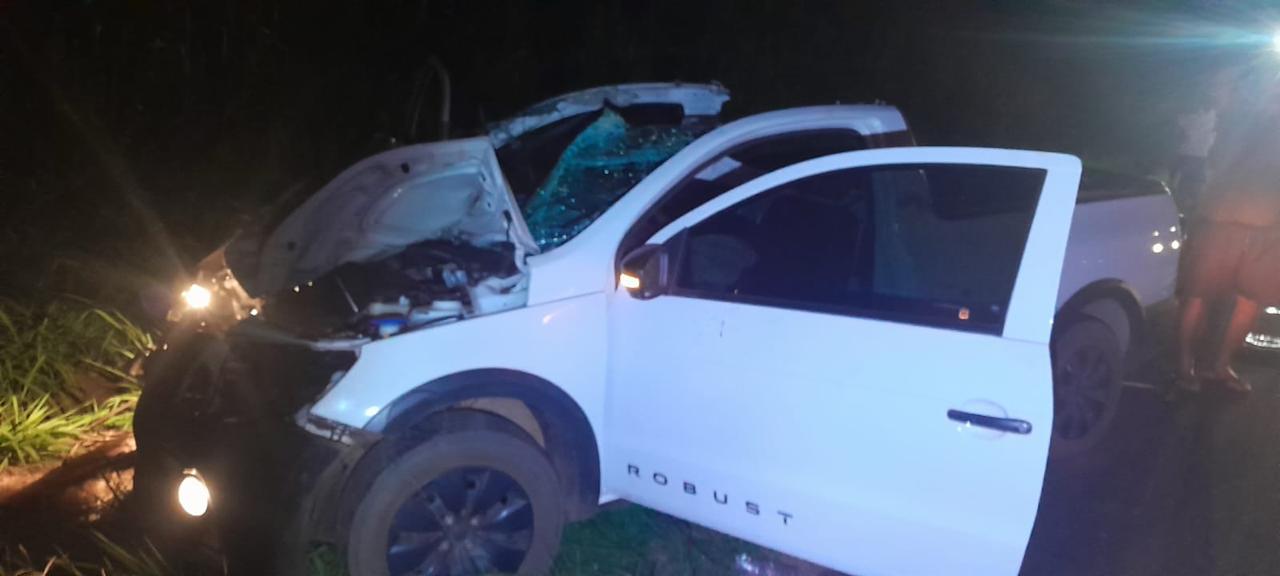 Animal solto na pista provoca acidente com morte em rodovia