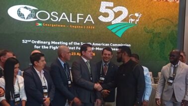 A 52ª Cosalfa (Comissão Sul-Americana para a Luta contra a Febre Aftosa) aconteceu nesta quarta e quinta-feira, dias 22 e 23, no Pegasus Hotel, na cidade de Georgetown, na Guiana.