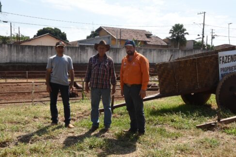 Carros de bois mantém tradição em evento