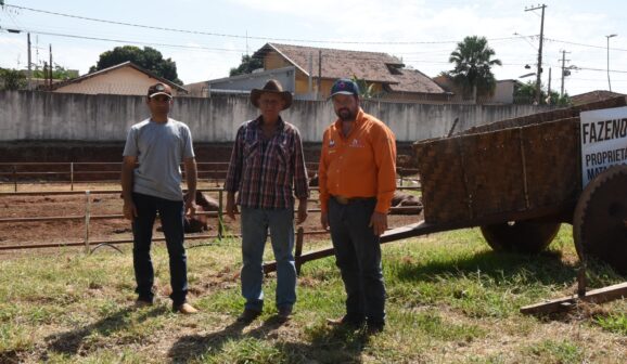 Carros de bois mantém tradição em evento