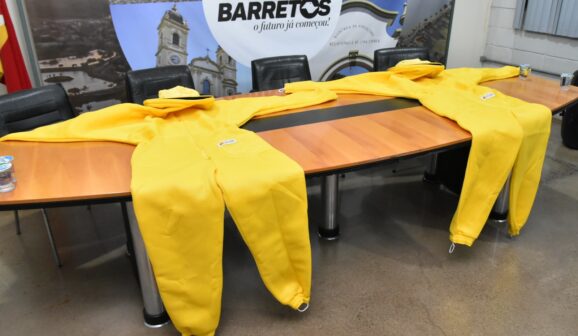 EPIs são específicos para ocorrências envolvendo insetos agressivos