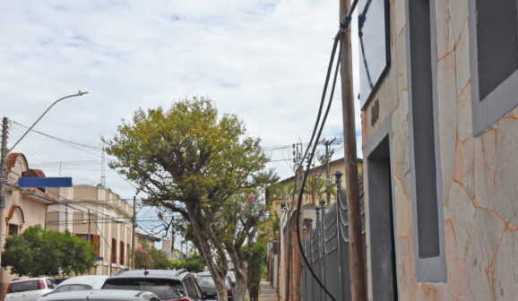 Poste de madeira sustenta de rede de água provisória na avenida 27, entre as ruas 20 e 22