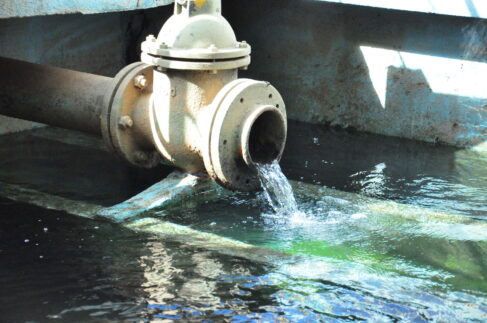 Região tem aumento do número de pessoas com Tarifa Social Paulista