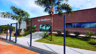 Vitalforce reforça estratégia baseada em ciência aplicada, biológicos e manejo inteligente no campo