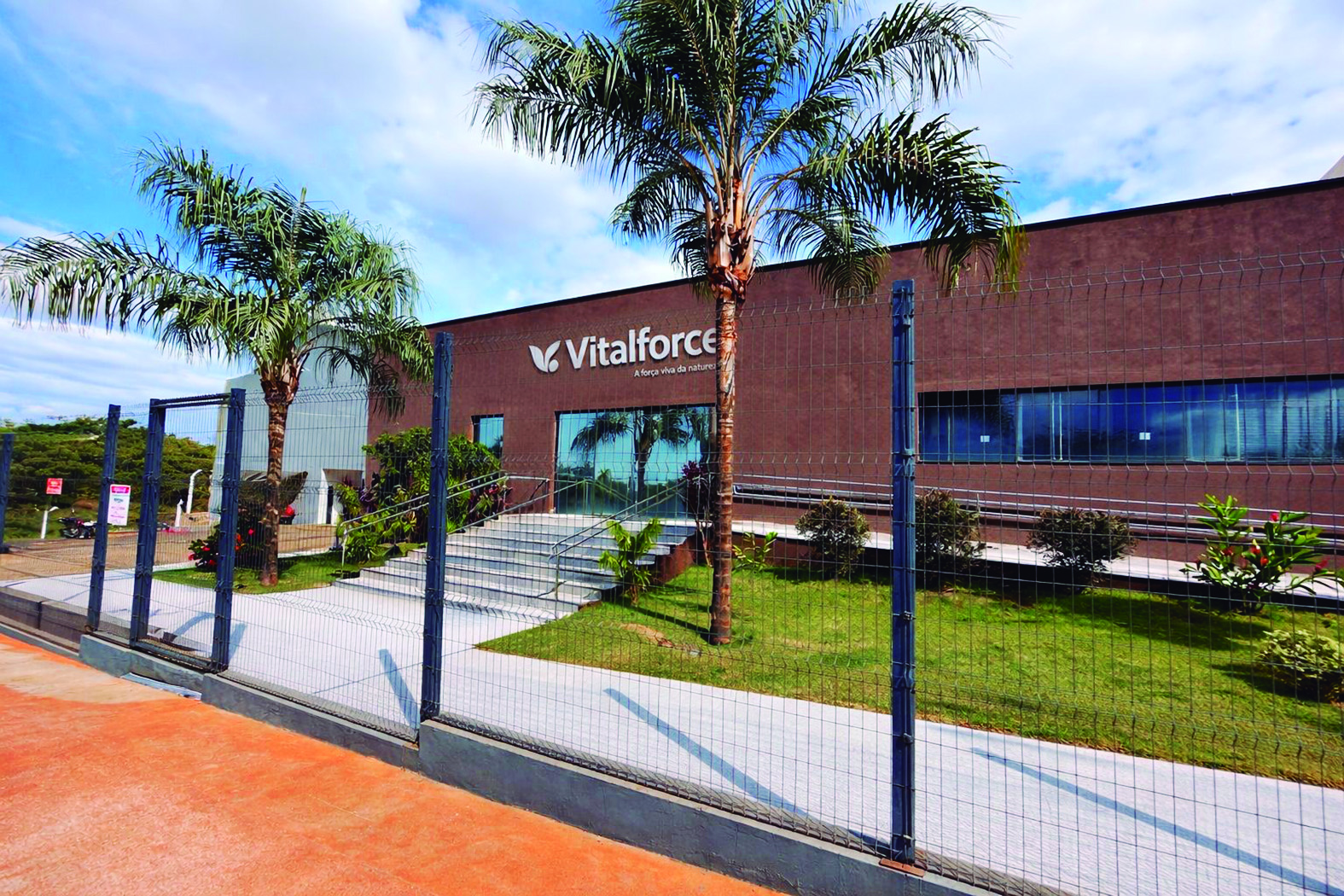 Vitalforce reforça estratégia baseada em ciência aplicada, biológicos e manejo inteligente no campo