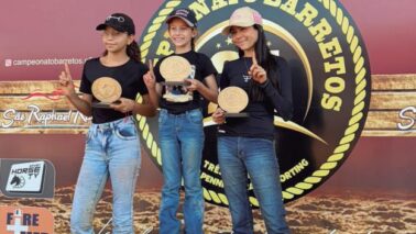 Categoria mirim do Team Penning