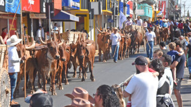O 2º Desfile da Cultura Tropeira levou emoção e orgulho às ruas de Barretos, celebrando nossas raízes e a história do homem do campo