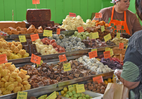 O Revelando SP 2026 movimentou o Recinto Paulo de Lima com atrações gratuitas, cultura, tradição e gastronomia em Barretos