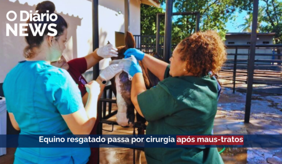 O Diário News – 12/05/2026