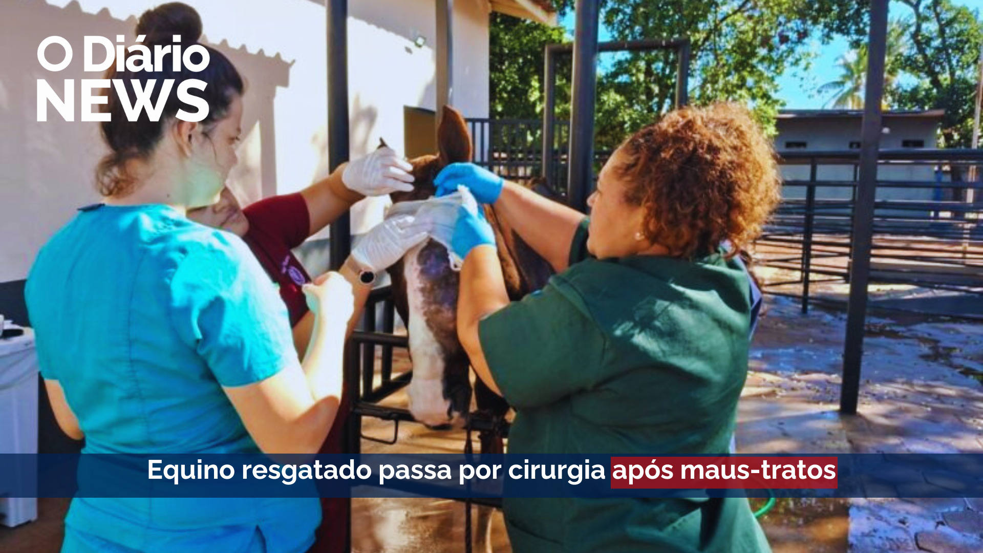 O Diário News – 12/05/2026