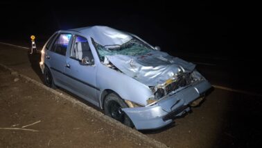 Condutor fica ferido após atropelar animal em rodovia (Foto: O Diário de Barretos)