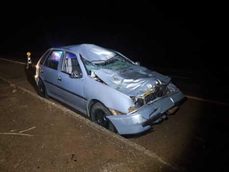 Condutor fica ferido após atropelar animal em rodovia (Foto: O Diário de Barretos)
