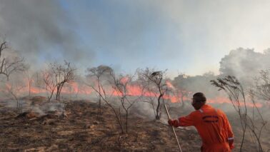 Defesa Civil alerta para aumento do risco de incêndios 