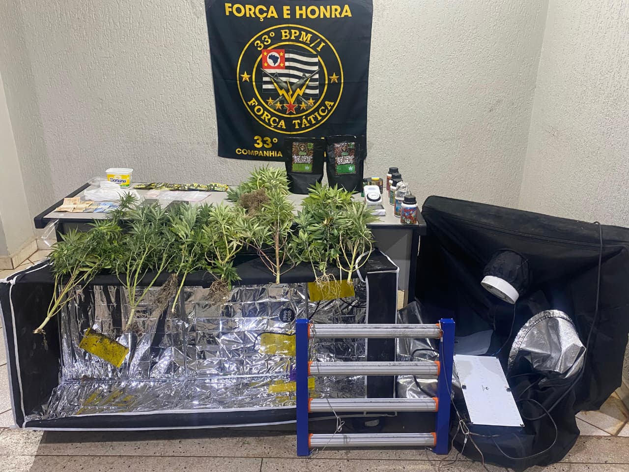 Polícia Militar detém suspeito e encontra cultivo de maconha em residência