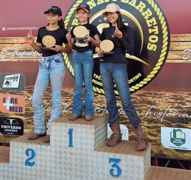 Categoria mirim do Team Penning